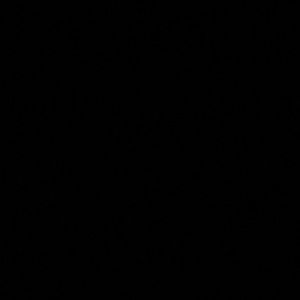 Meet your Posher, Yasmin